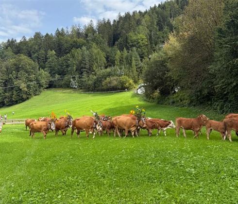 Almabtriebsfest Kufstein