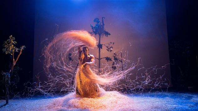 Circustage L´Ancrage