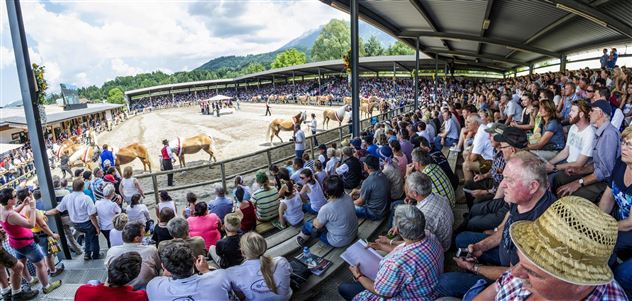 Haflinger Weltausstellung_1