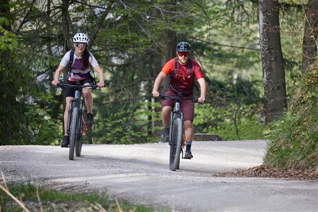 Stadtbergrunde Mountainbiketour