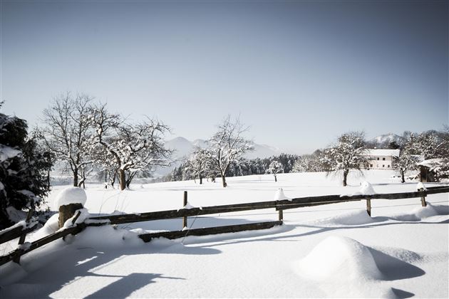 Winterwandern
