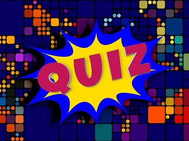 Bau! Quiz