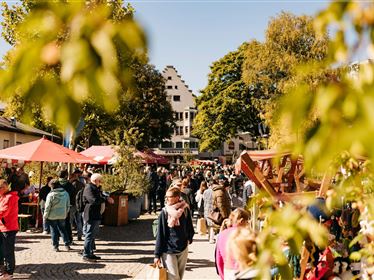 Herbst-Genusstag