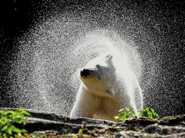 TEXT.WERKSTATT für junge AutorInnen von 8-16 Jahren