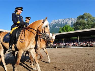 Haflinger Weltausstellung