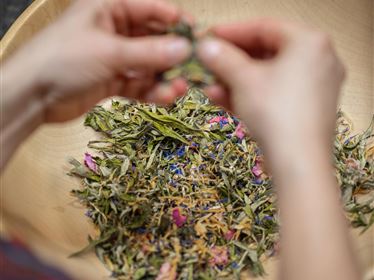 Kräuterpower macht winterfit - Ebbs