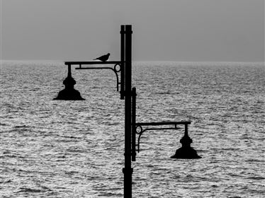 Finissage: FOTO.EXPO 26 _halten