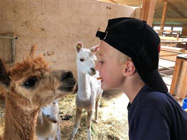 KINDER- UND FAMILIENPROGRAMM - Der Lilienhof ruft: Auf ins tierische Vergnügen!