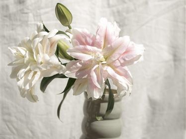 Pfrillsee & Friends - Flowerpower