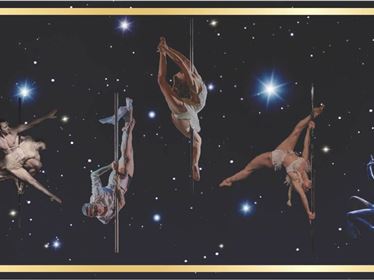 Pole Theatre Austria
