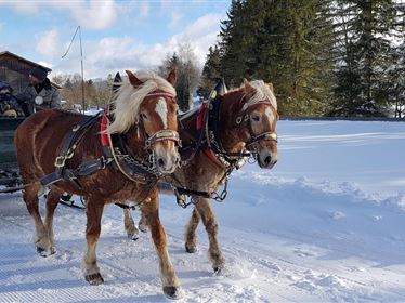 Winterliche Kutschenfahrt in Ebbs