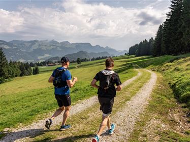 Trail-Running-Workshop für Anfänger:Innen