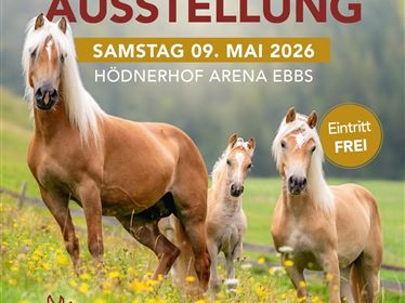 Haflinger Vereinsausstellung
