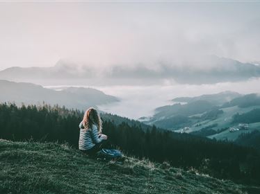 Auf blühenden Wegen zum Genuss – Sommerwanderung am Niederndorferberg