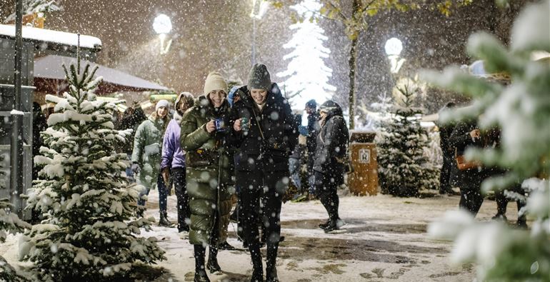 Weihnachtsmarkt Stadtpark