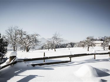 Winterwandern mit Aussicht und Genuss - unterwegs am Niederndorferberg