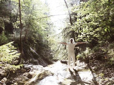 Yoga im Wald