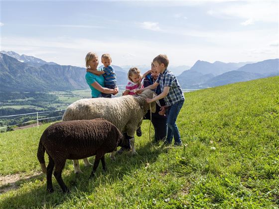 Bauernhof Au am Berg am Niederndorferberg Familie