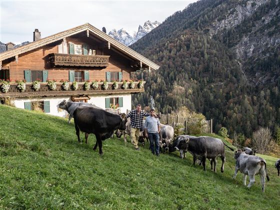 Bauernhof Tschamernik im Kaisertal Ebbs