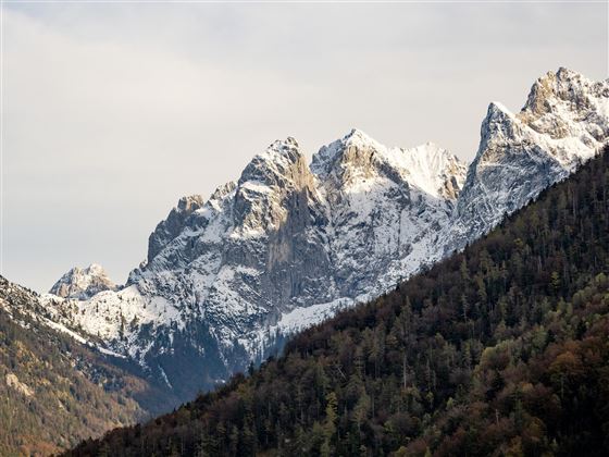 Bauernhof Tschamernik Kaisert Aussicht Kaiser