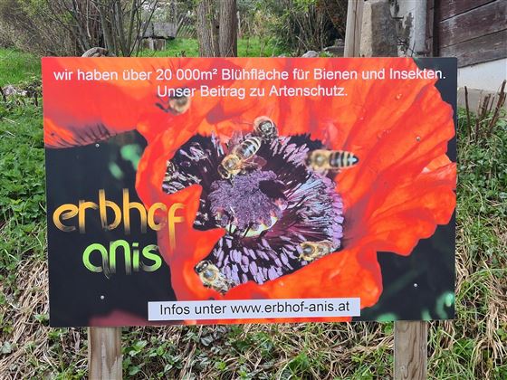 Bienenweide