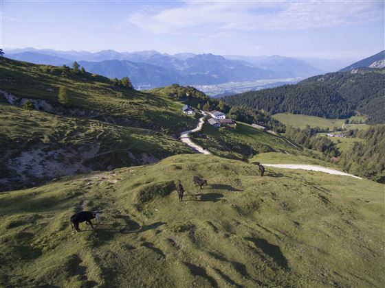 Buchacker Alm von oben