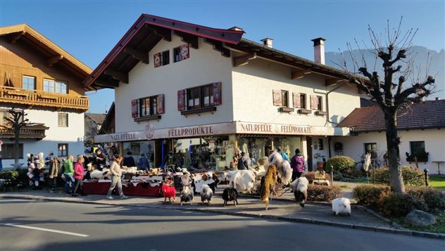 Cornelo - Naturfelle und Fellprodukte