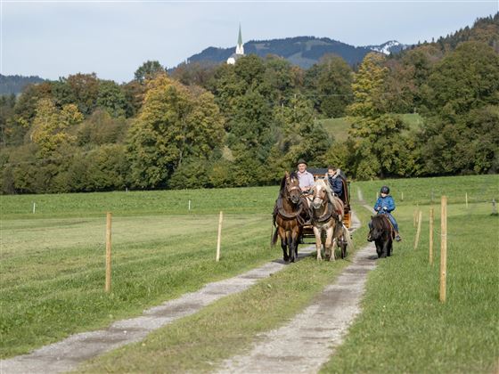 Ebbs Pferdekutschenfahrt Landschaft Ebbs