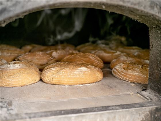 Fertig gebackenes Brot Reischerhof Ebbs