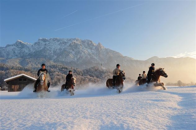 Fohlenhof Ebbs Ausritt im Winter