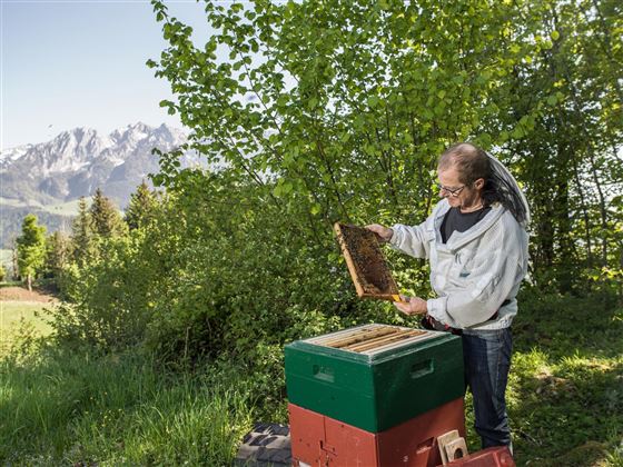 Imker Tiroler Gebirgsimkerei Niederndorferberg