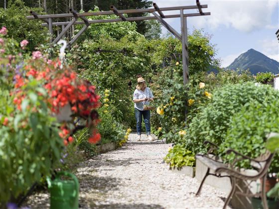 Kräuterwelt Hinterthiersee Garten