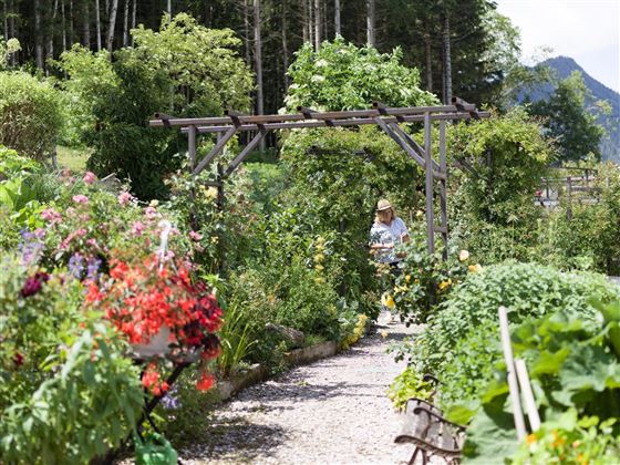 Kräuterwelt Hinterthiersee Kräutergarten