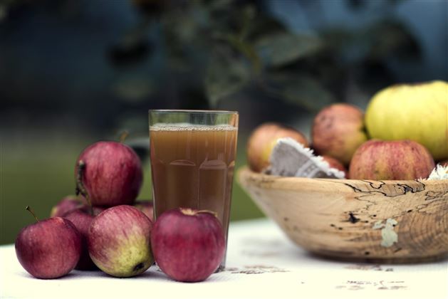 Malerhäuslhof Ebbs Apfelsaft