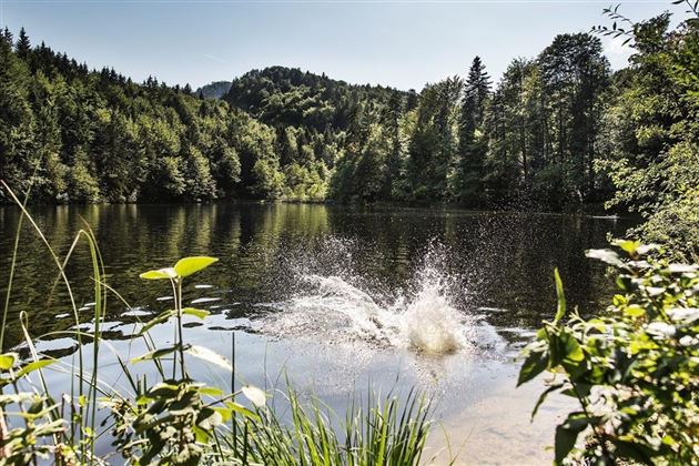 Pfrillsee Kufstein