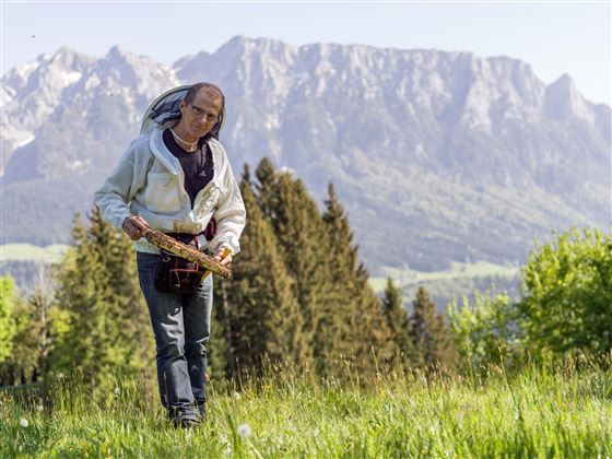 Tiroler Gebirgsimkerei Käser Niederndorferberg