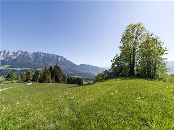 Tiroler Gebirgsimkerei Niederndorferberg Aussicht