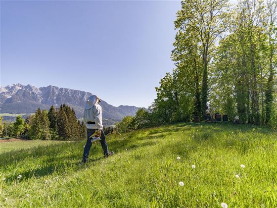 Tiroler Gebirgsimkerei Niederndorferberg