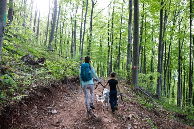 Wandern mit Hund