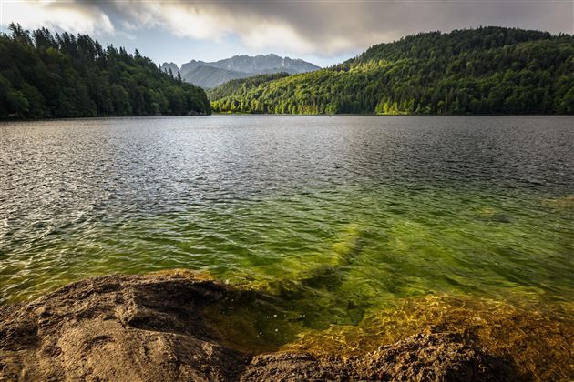 Wasser Hechtsee