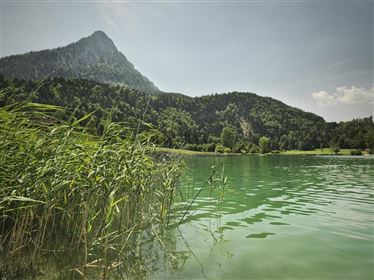 Badesee Thiersee