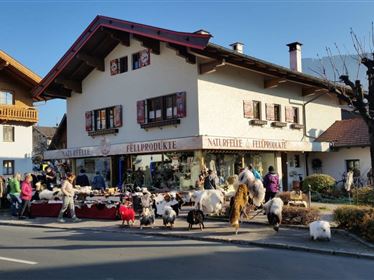 Cornelo - Naturfelle und Fellprodukte
