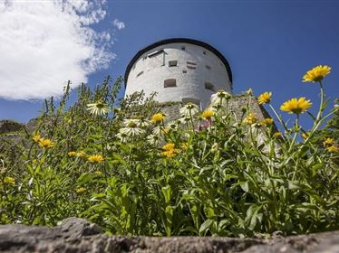 Pflanzen- und Kräutergarten Festung Kufstein