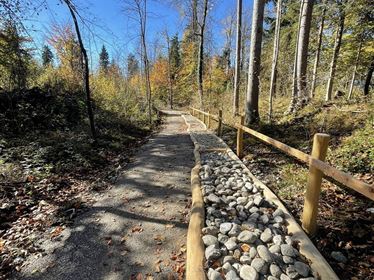 Waldmotorikanlage am Jennbach