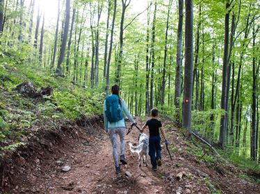 Bergwanderführer & Wandern mit Hund - Annemarie Thrainer