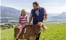 Bauernhof Au am Berg Niederndorferberg Kalb