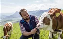 Bauernhof Au am Berg Niederndorferberg Kuh