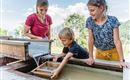 Bergbahn Hocheck gold