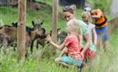 Bergbahn Hocheck Ziegen