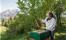 Imker Tiroler Gebirgsimkerei Niederndorferberg